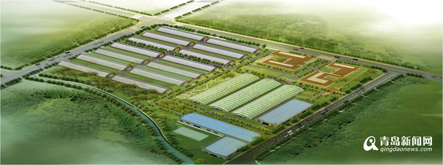 13個現代農業項目落戶西海岸，總投資52億元